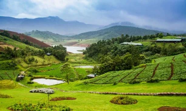 Ooty Toy Train, Tea Gardens & Lake Views (2-Day Self-Guided Plan)